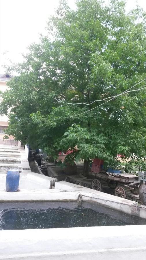 Alanlar Alabalik Ve Otel Ağlasun エクステリア 写真